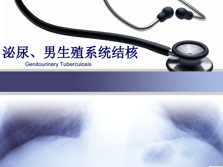 泌尿、男生殖系统结核_第1页