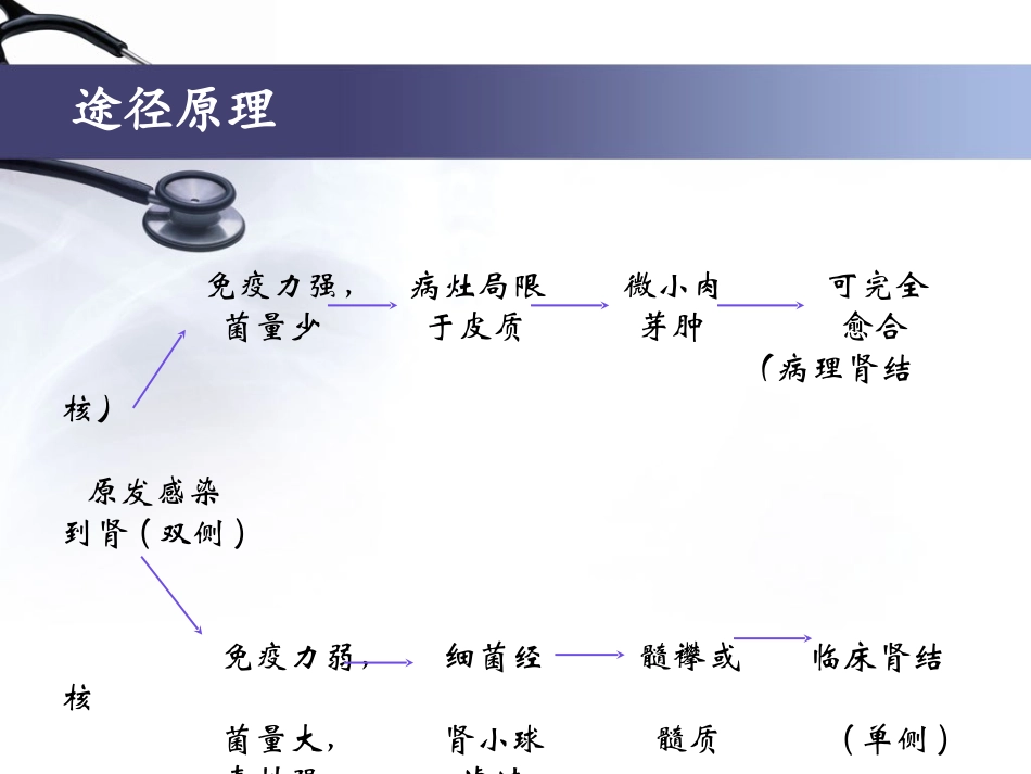 泌尿、男生殖系统结核_第3页
