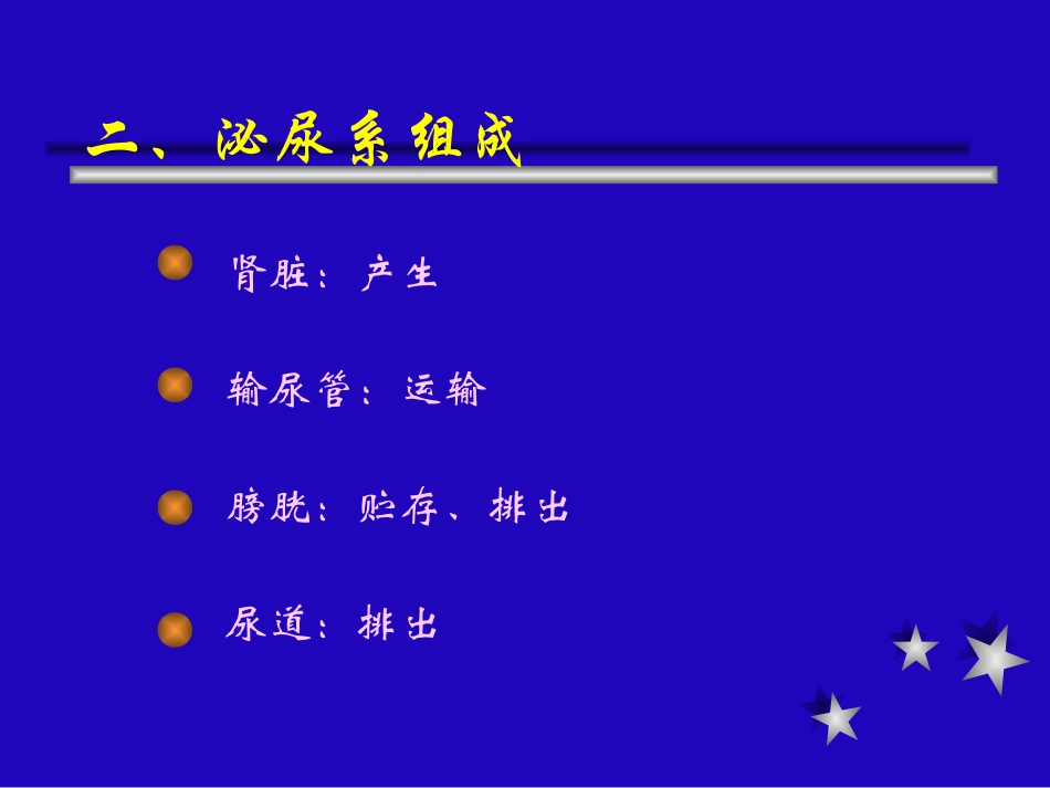 泌尿、生殖系统感染_第3页
