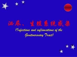 泌尿、生殖系统感染