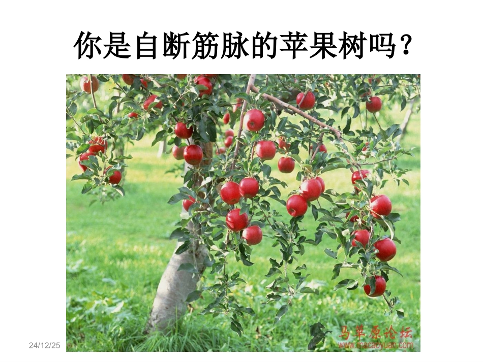 邹睿老师课件-韧性_第2页