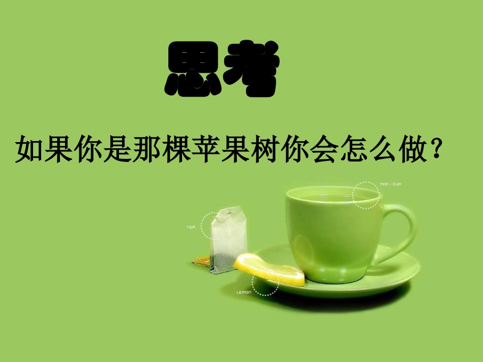 邹睿老师课件-韧性_第3页