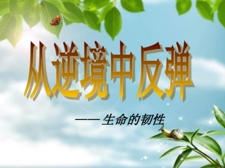 邹睿老师课件-韧性