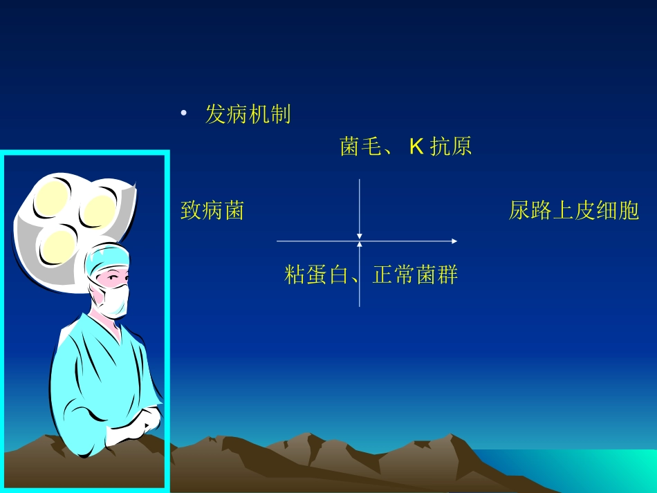 泌尿、男生殖系统感染-胡万里_第3页
