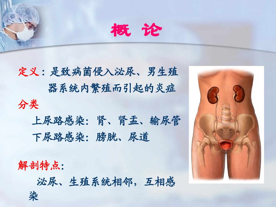 泌尿外科男性生殖系统感染_第2页