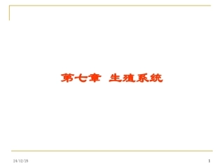 泌尿生殖系统