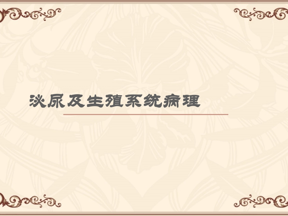 泌尿与生殖系统_第1页