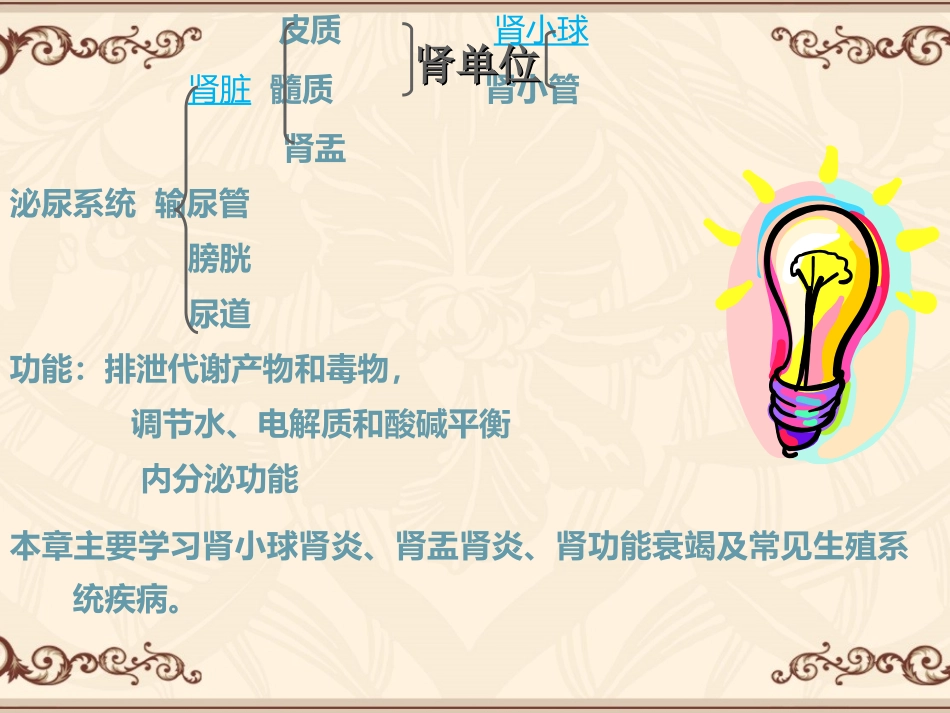 泌尿与生殖系统_第2页