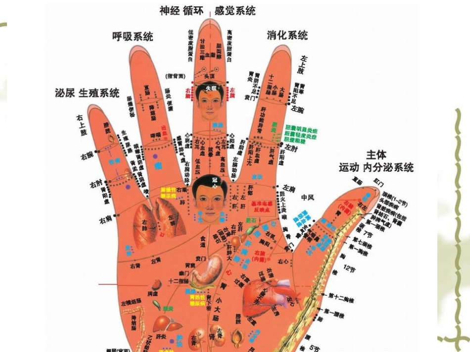 河南省肝病医院_第3页