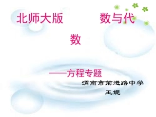 数与代数方程专题王妮2