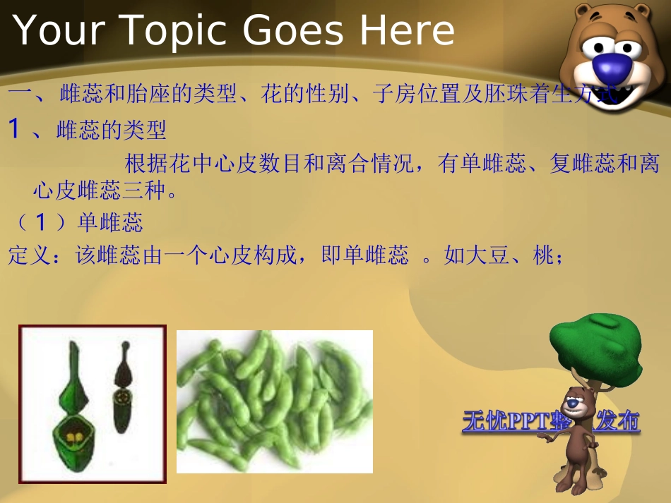 汤雪,植物-花_第2页