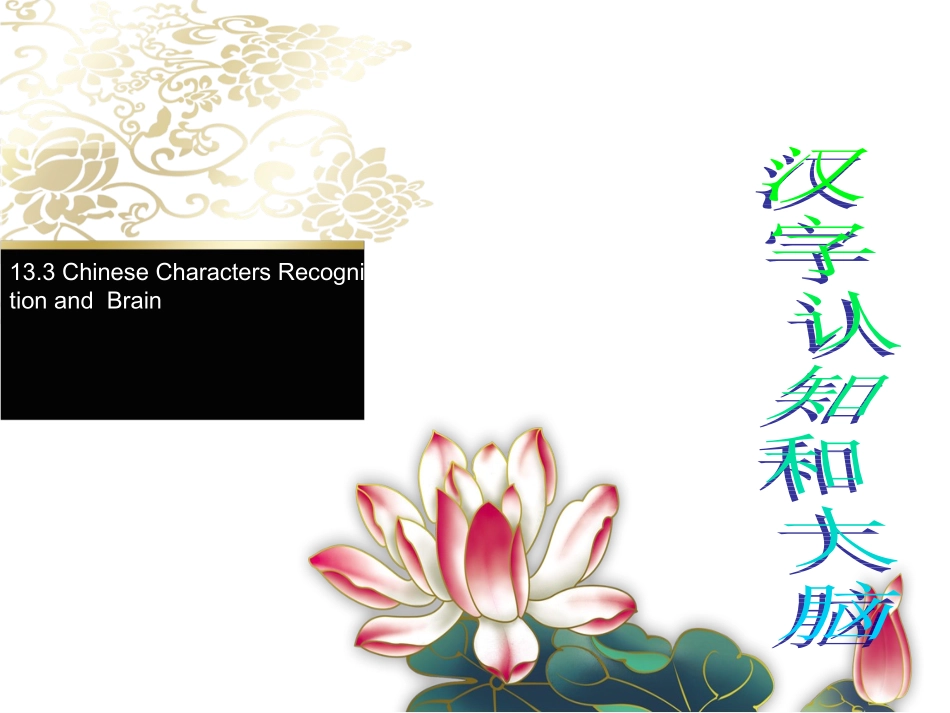 汉字认知与大脑_第1页