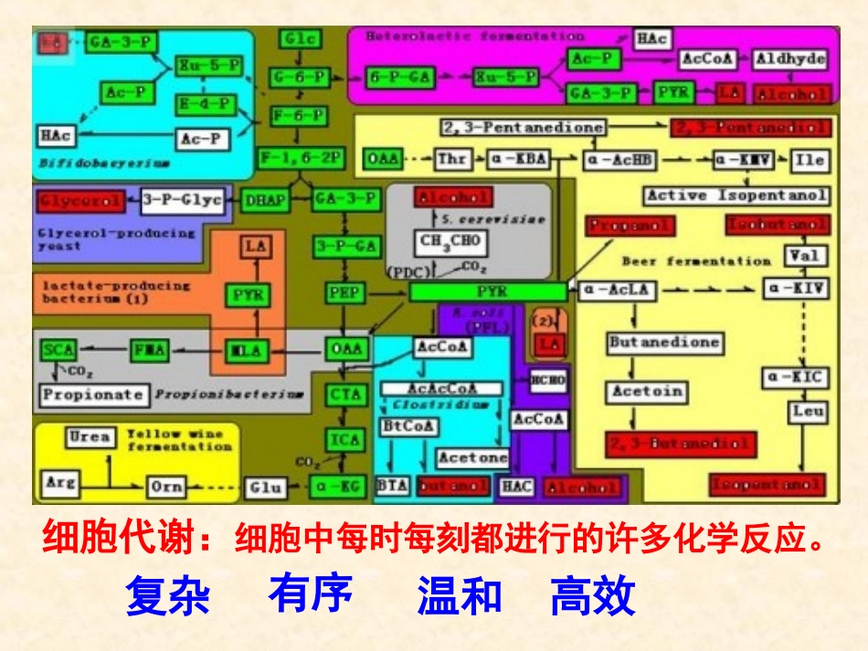 汉水丑生—酶一_第2页
