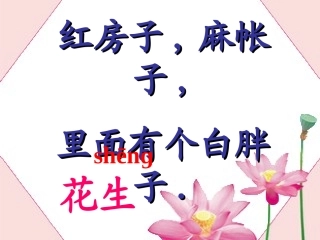 小松鼠找花生课件