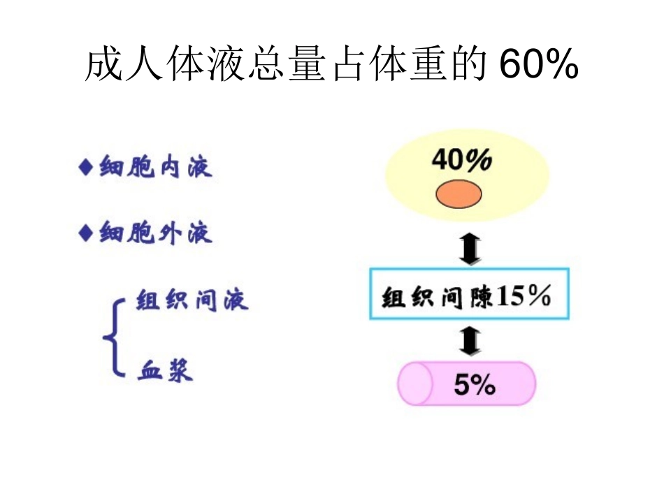 水电解质紊乱-血气分析ppt_第3页