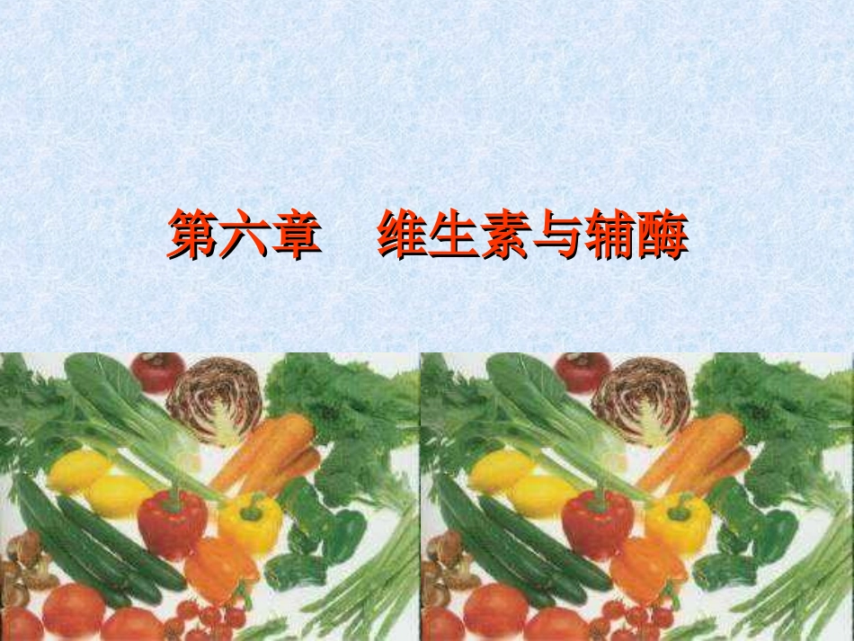 水溶性维生素与辅酶_第1页