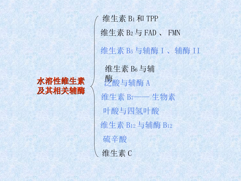 水溶性维生素与辅酶_第2页