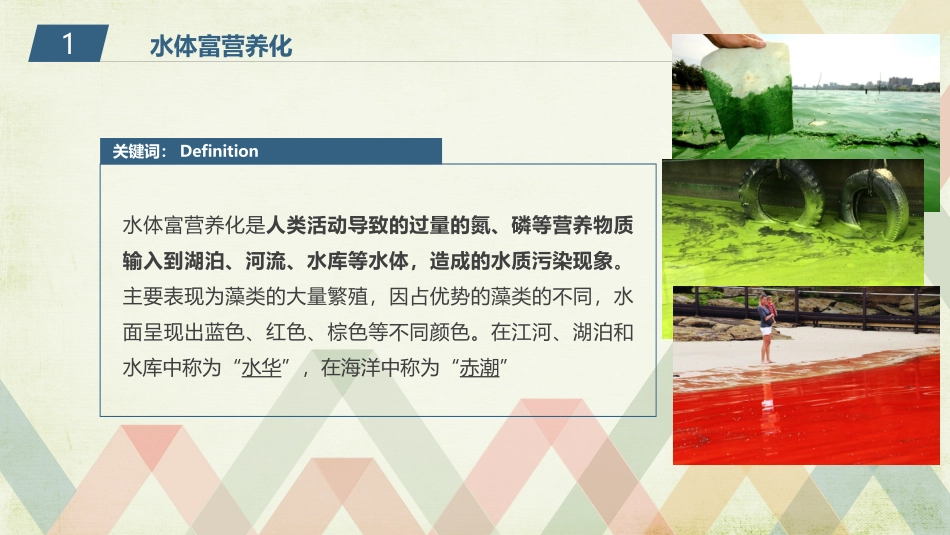 水体富营养化评价方法_第3页