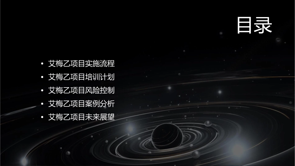 艾梅乙项目培训6课件_第2页