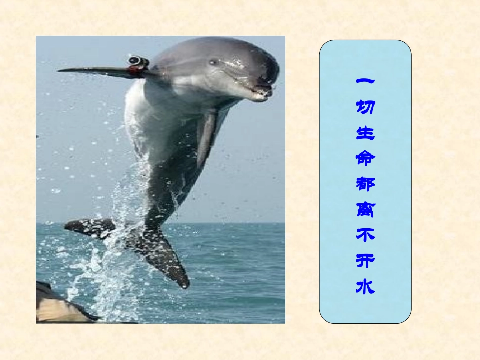 水与健康-好水是药-坏水是毒_第2页
