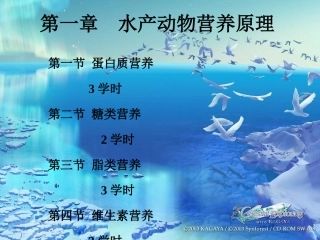 氮的沉积量蛋白质的利用率