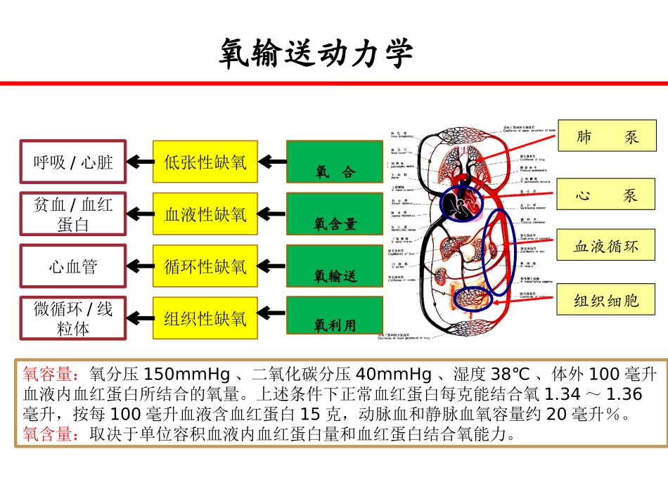 氧疗技术-复旦大学附属儿科医院陆国平201407_第2页