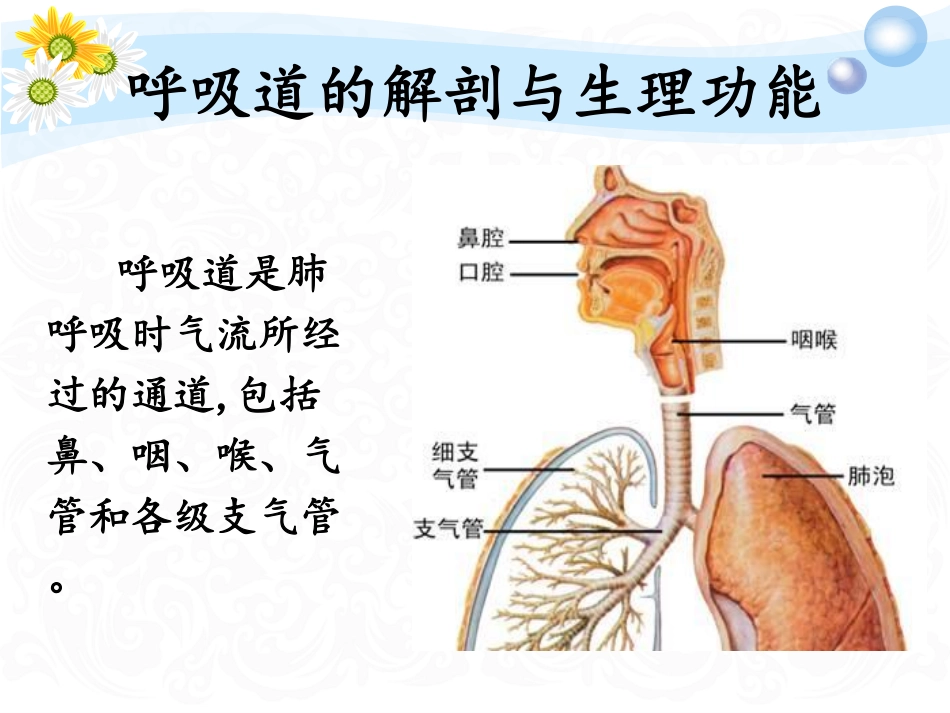 气道管理[30P][2.22MB]_第2页