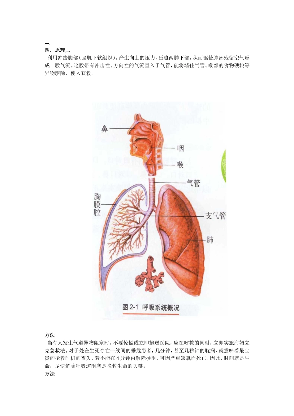 气管异物阻塞的急救_第2页