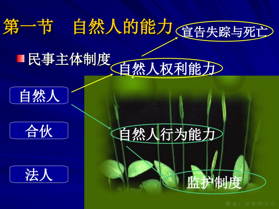 民法课件《自然人》_第3页