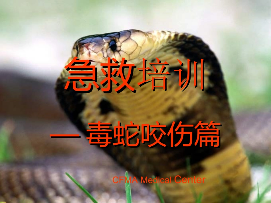 毒蛇咬伤急救篇_第1页
