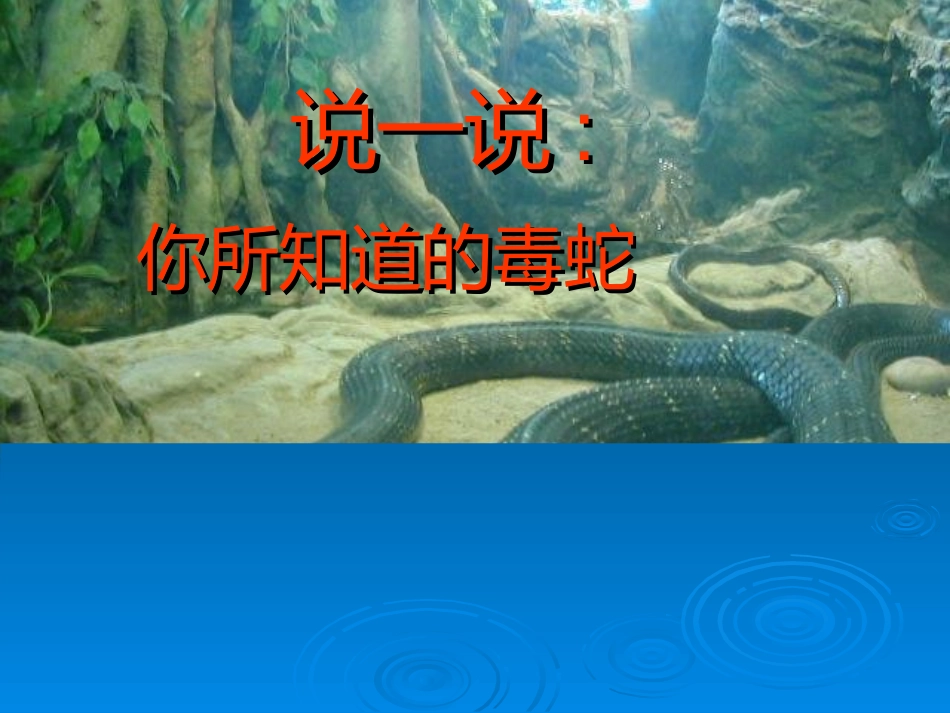 毒蛇咬伤急救篇_第2页