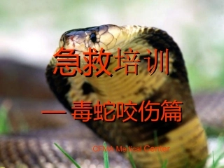 毒蛇咬伤急救篇