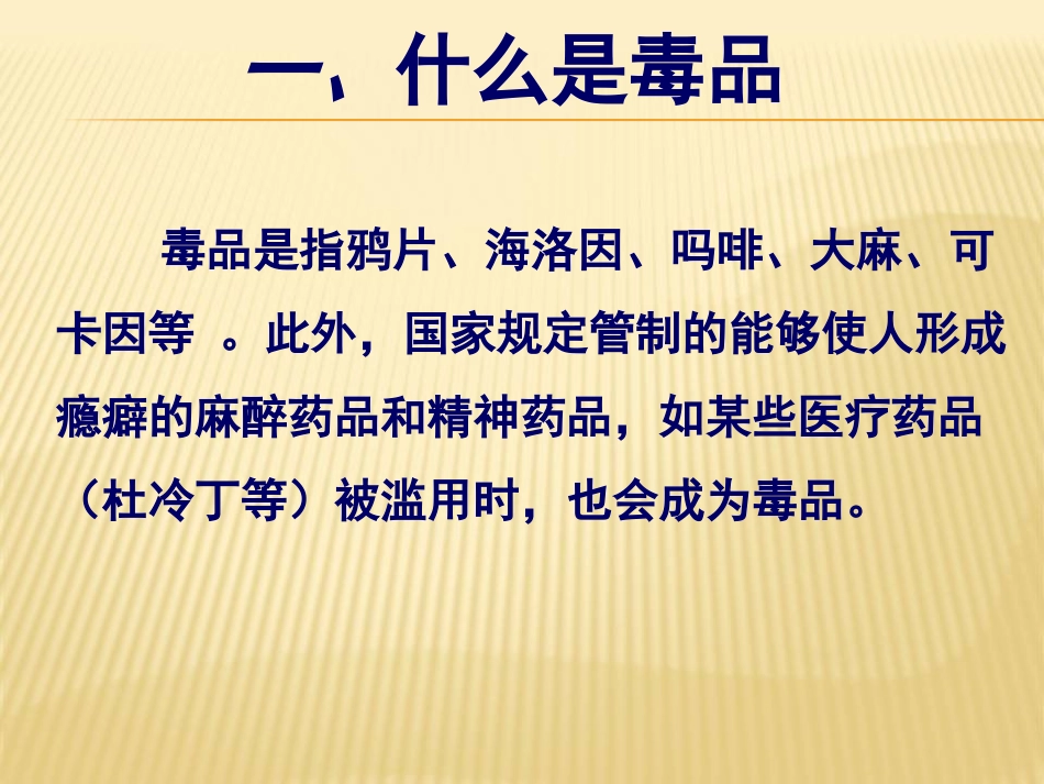 毒品的种类——陈璟_第2页