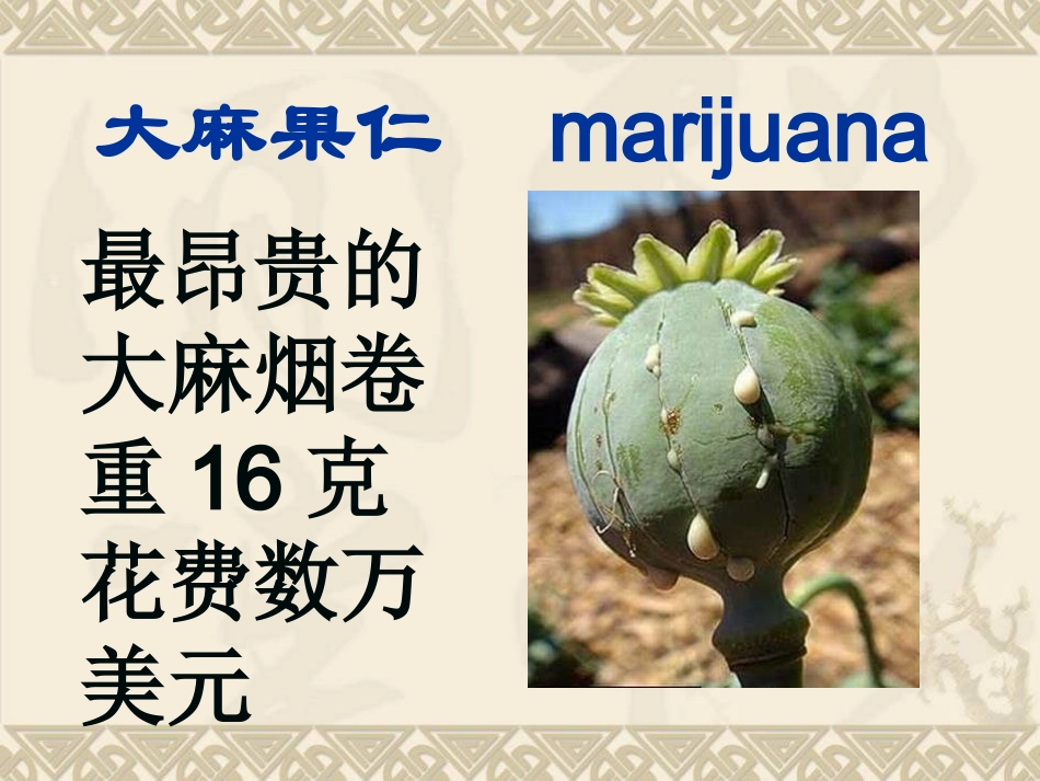 毒品及其危害--lsj_第3页