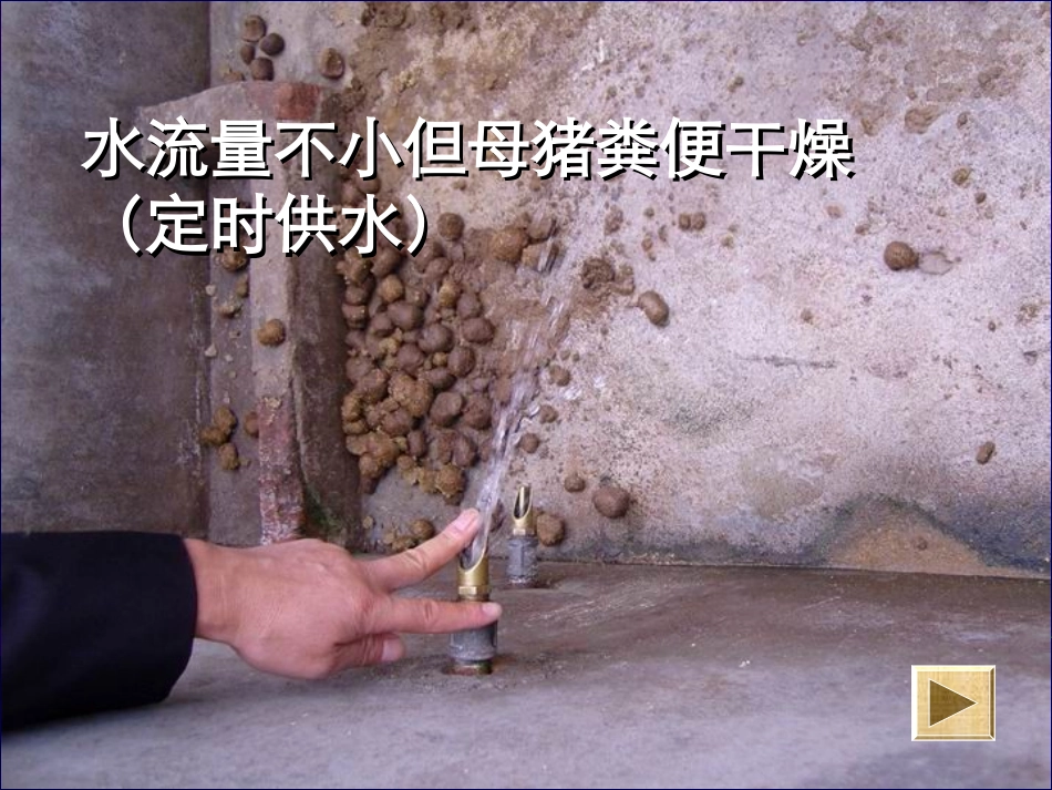 母猪便秘原因及对策_第3页