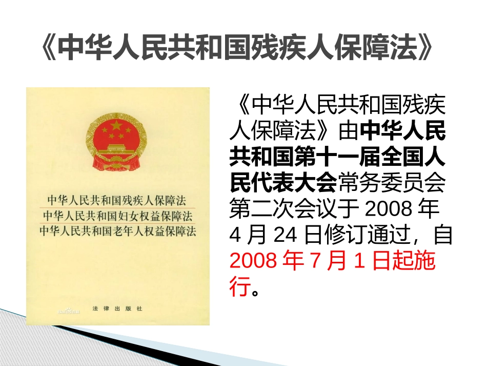残疾人权益保障_第3页