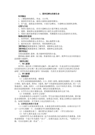 蚕卵里孵出的新生命 (2)