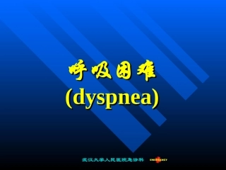 武汉大学人民医院急诊科.