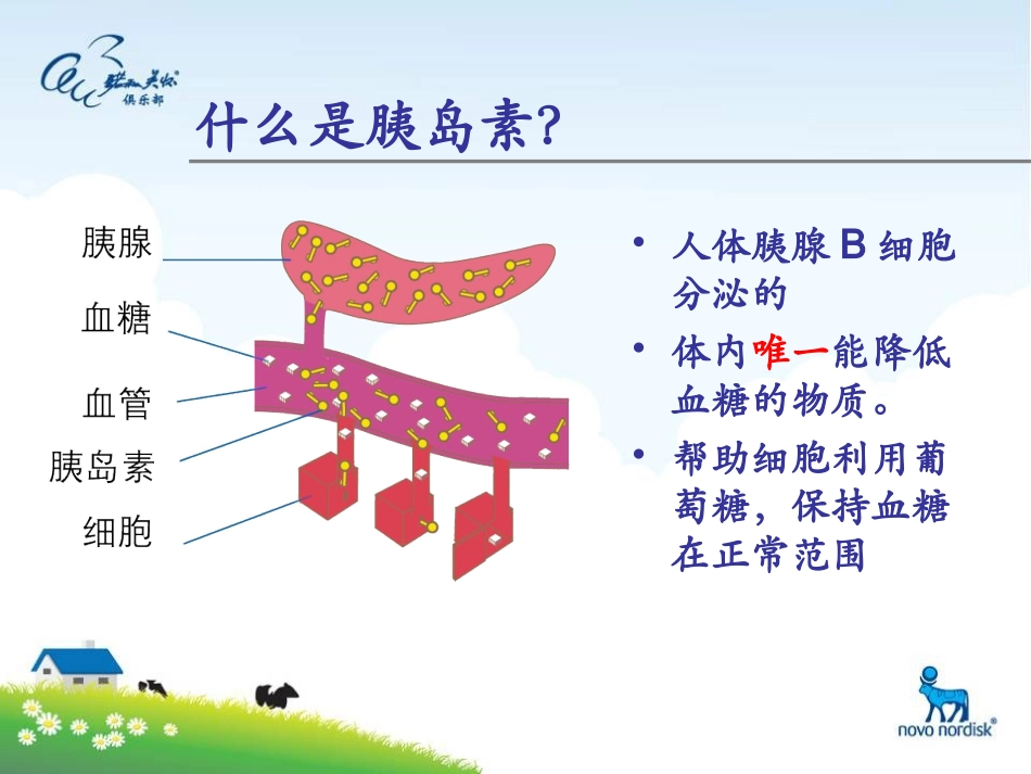 正确认识胰岛素1_第3页