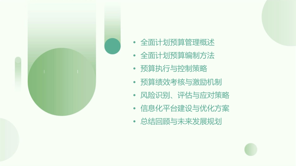 某公司全面计划预算管理解决方案课件_第2页