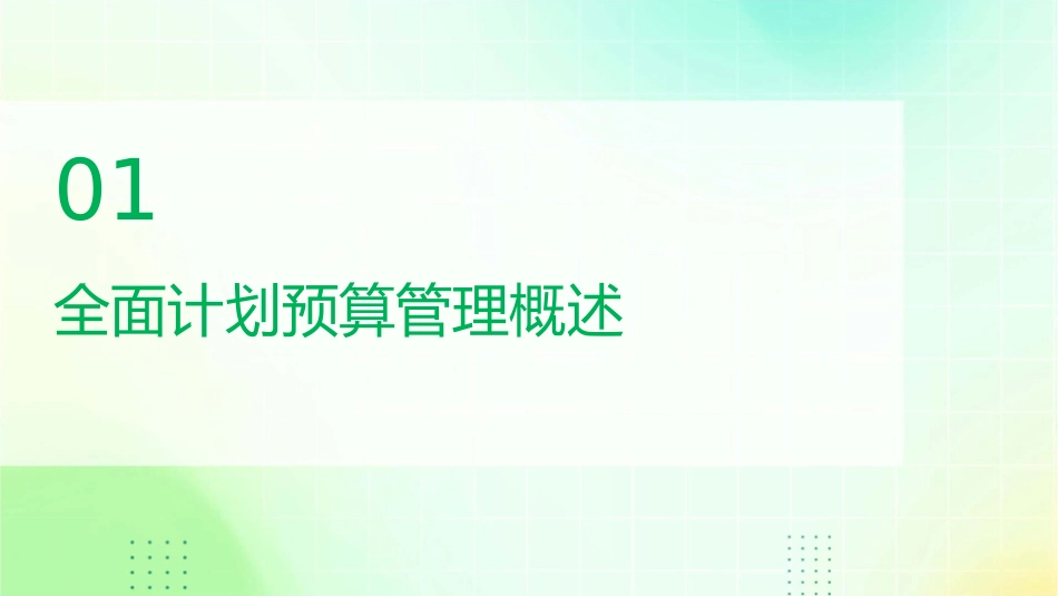 某公司全面计划预算管理解决方案课件_第3页