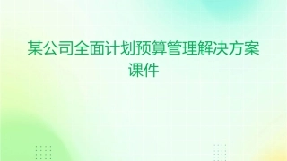 某公司全面计划预算管理解决方案课件