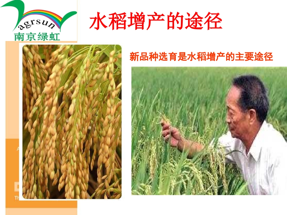 欧博 (mini)_第3页