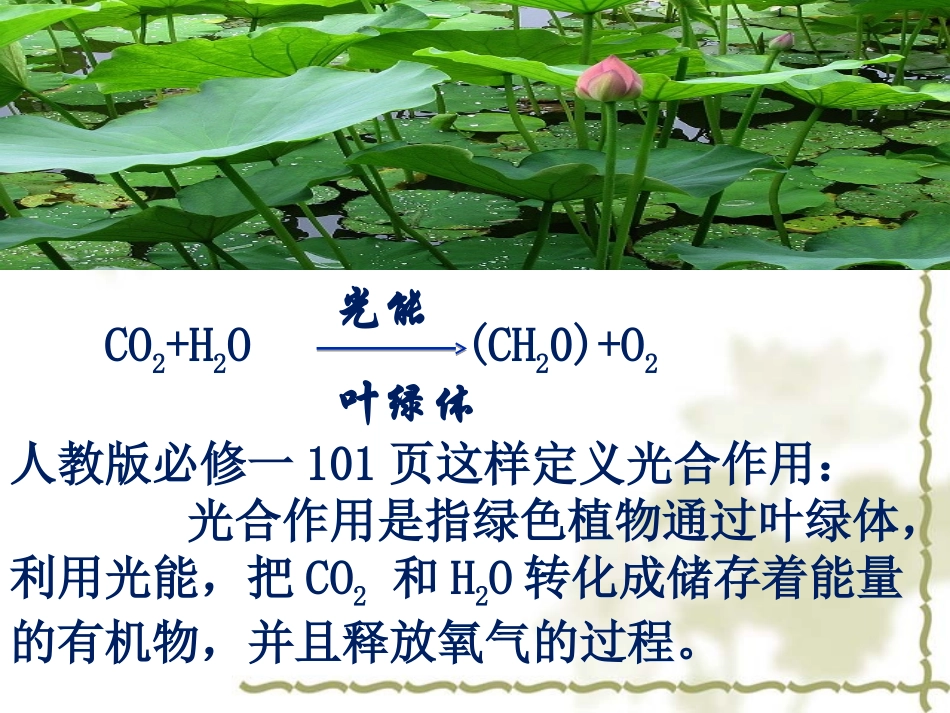 生态系统的物质循环_第1页