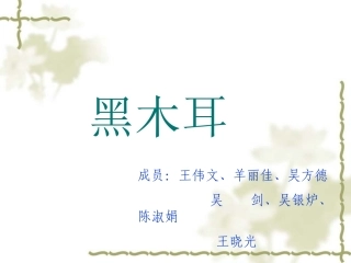 椴木木耳栽培