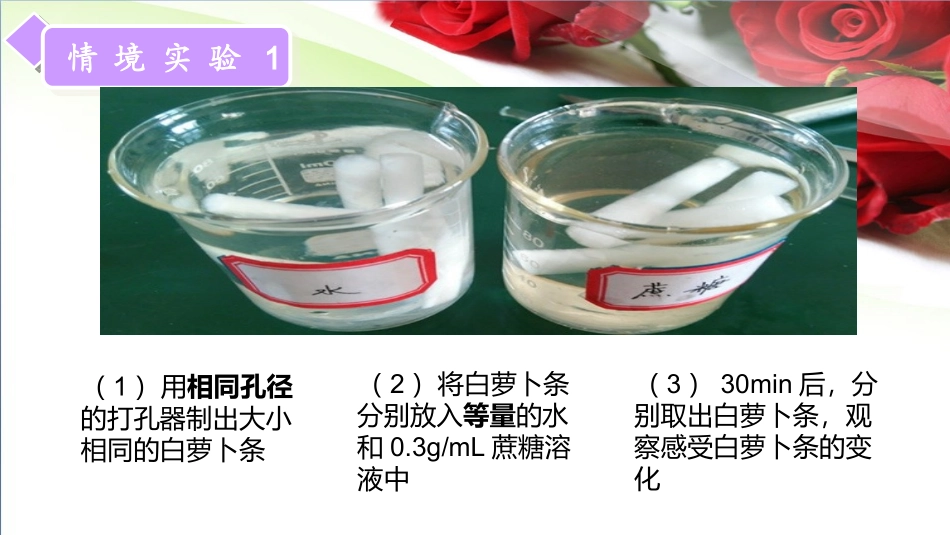 植物细胞的吸水和失水_第2页