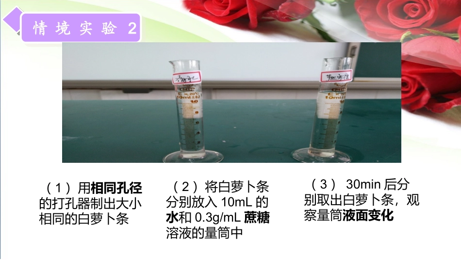 植物细胞的吸水和失水_第3页
