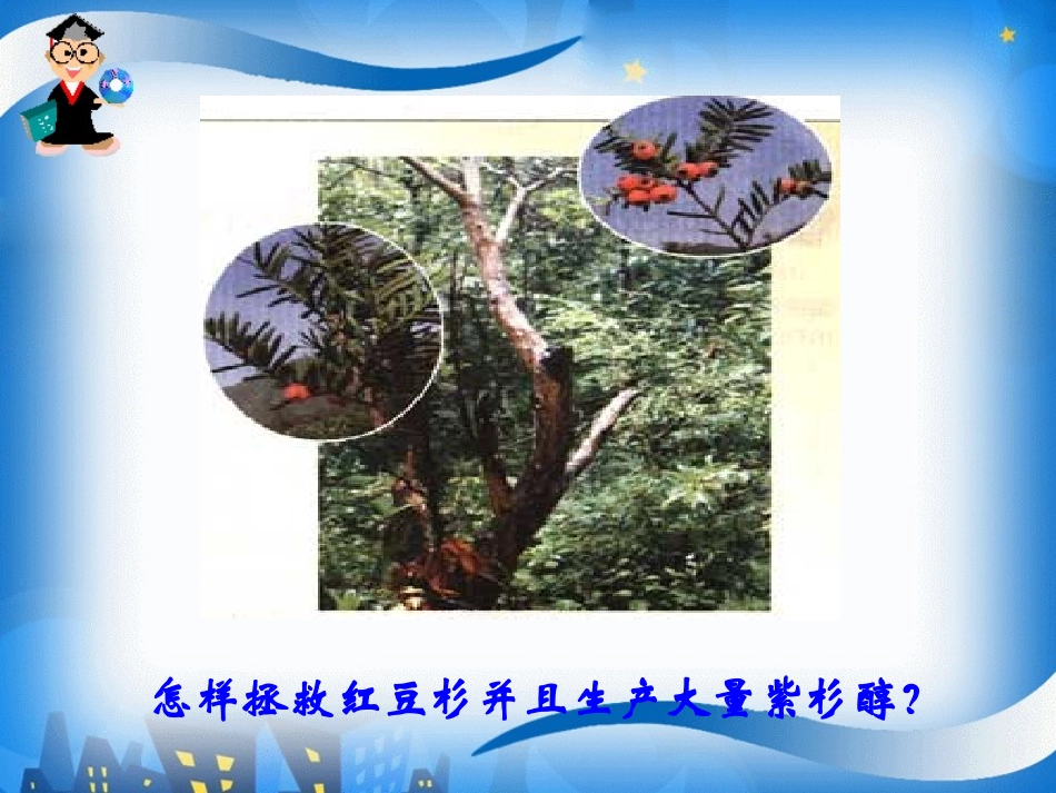 植物细胞工程的实际应用分析_第2页