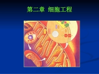 植物细胞工程及其应用