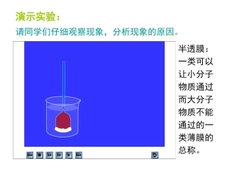 植物细胞吸水和失水的探究